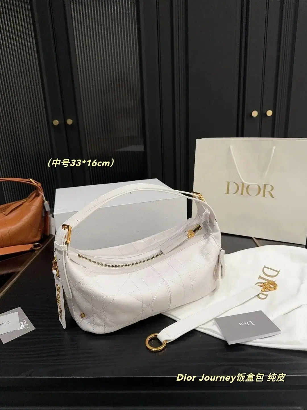 Dior Journey Hobo Bag [38 styles]